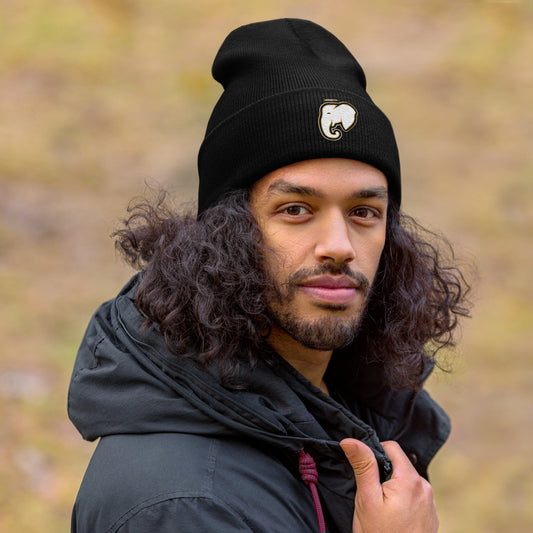 SAV Cuffed Beanie